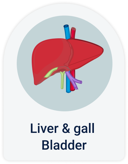 Liver & gall bladder