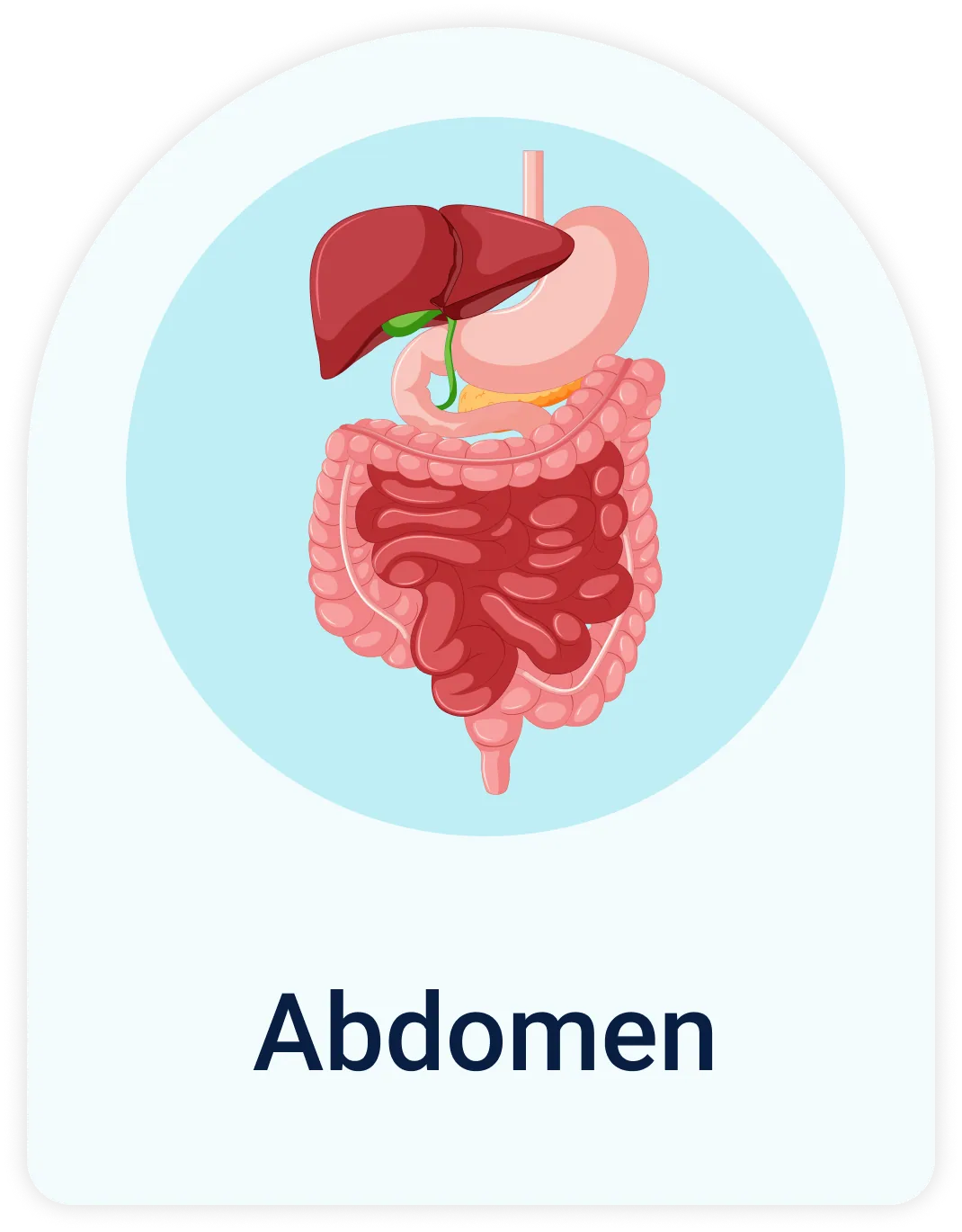 Lab Test | Abdomen