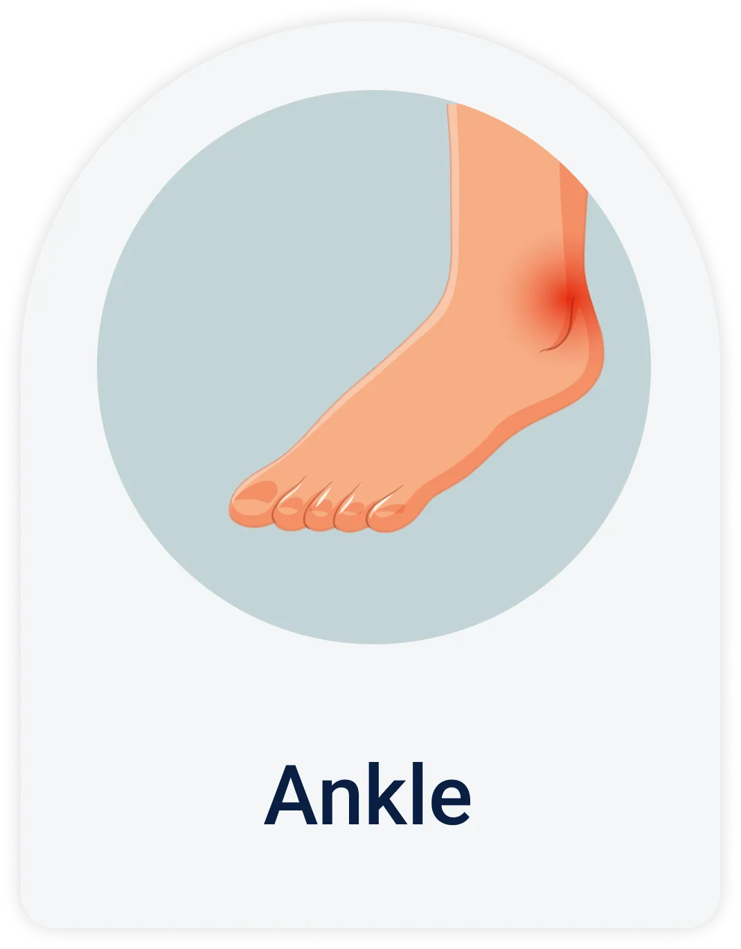Lab Test | Ankle