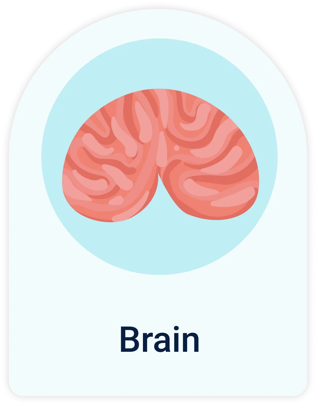 Lab Test | Brain