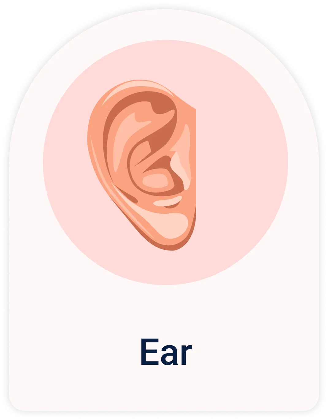 Lab Test | Ear