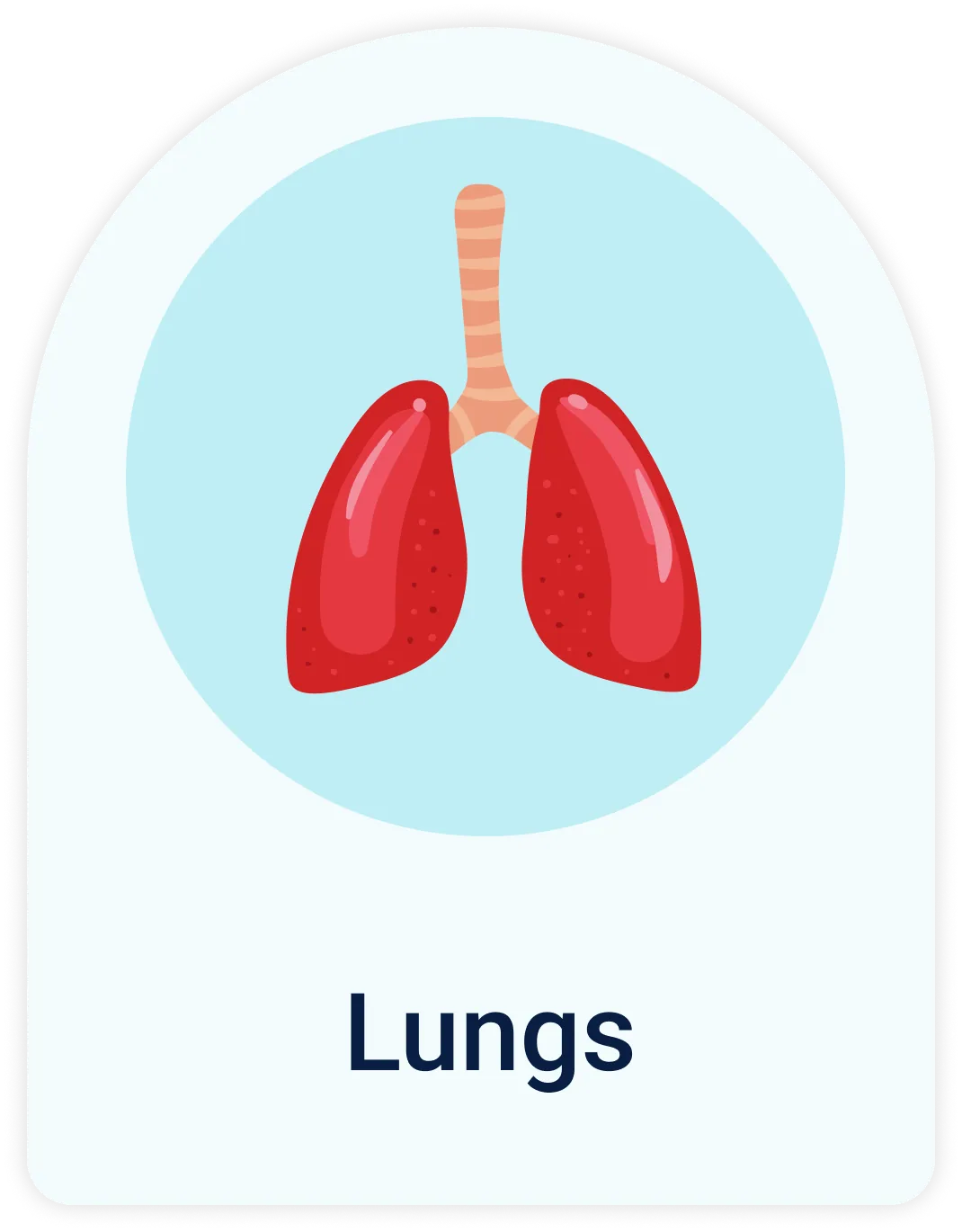 Lab Test | Lungs