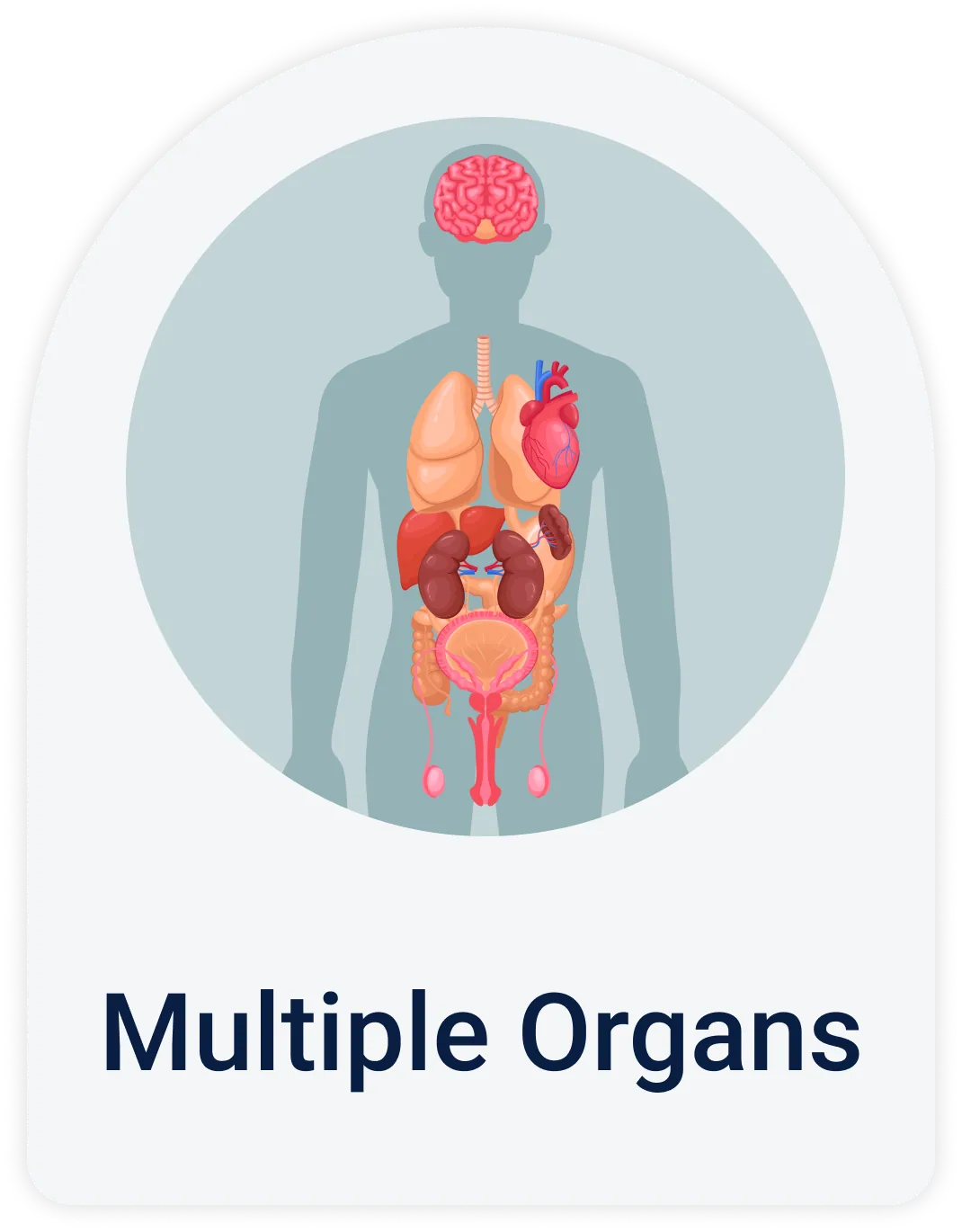 Lab Test | Multiple organs