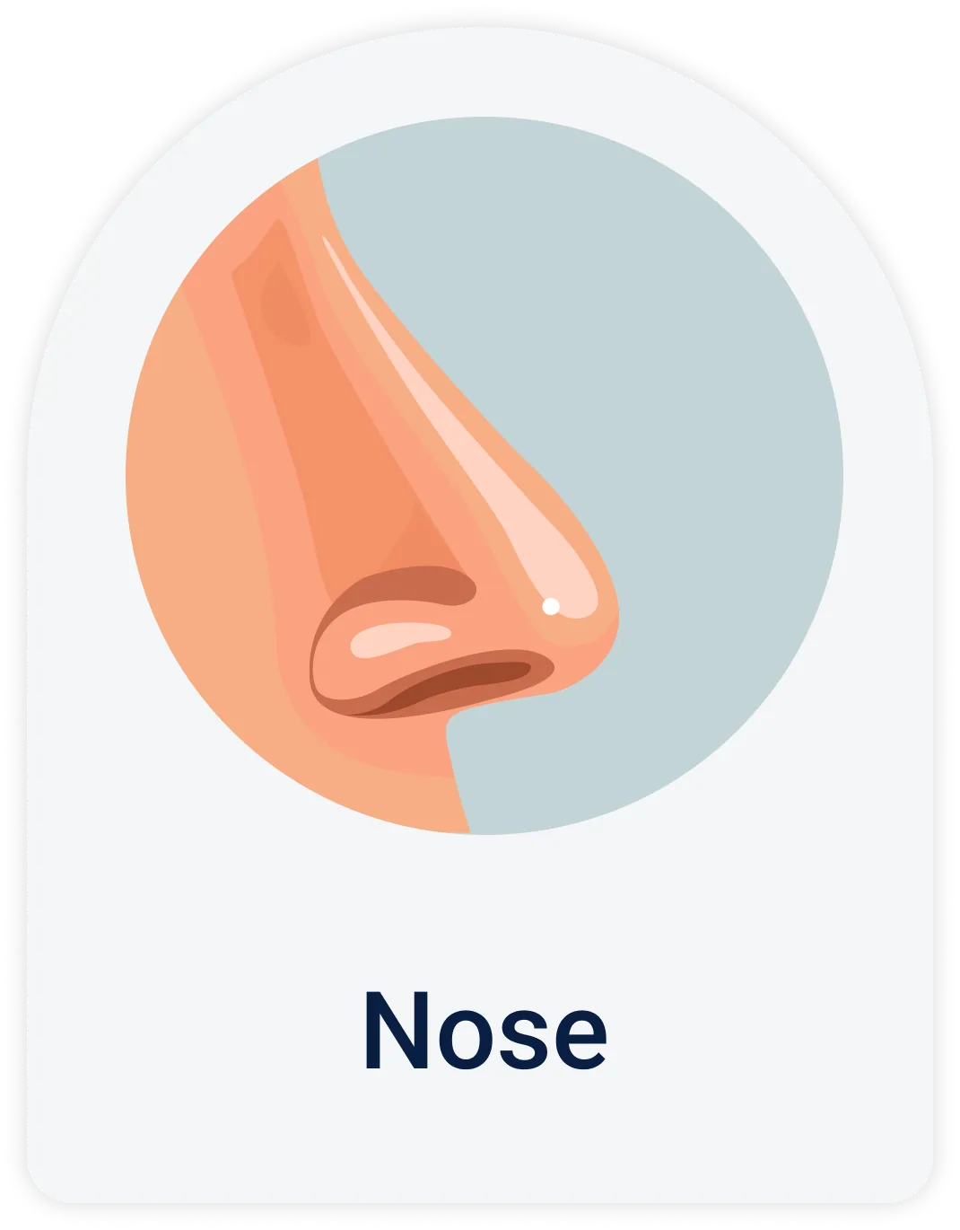 Lab Test | Nose