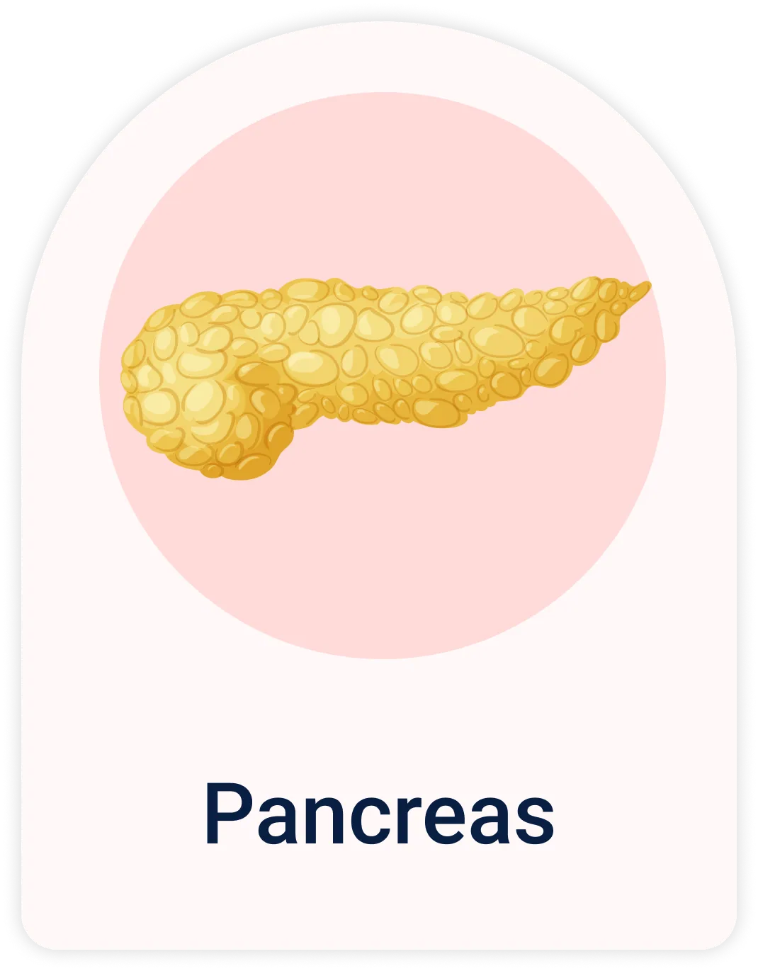 Lab Test | Pancreas