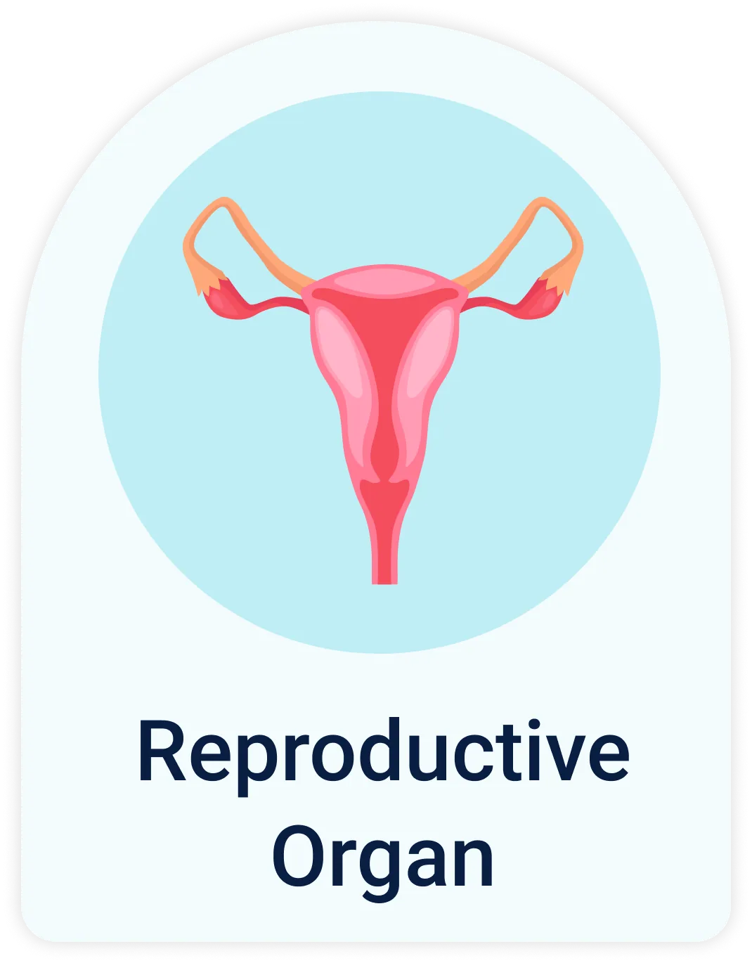 Lab Test | Reproductive organs
