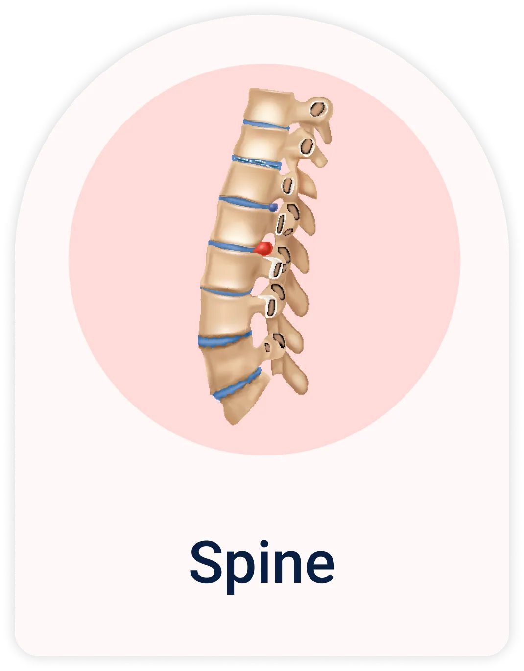 Lab Test | Spine