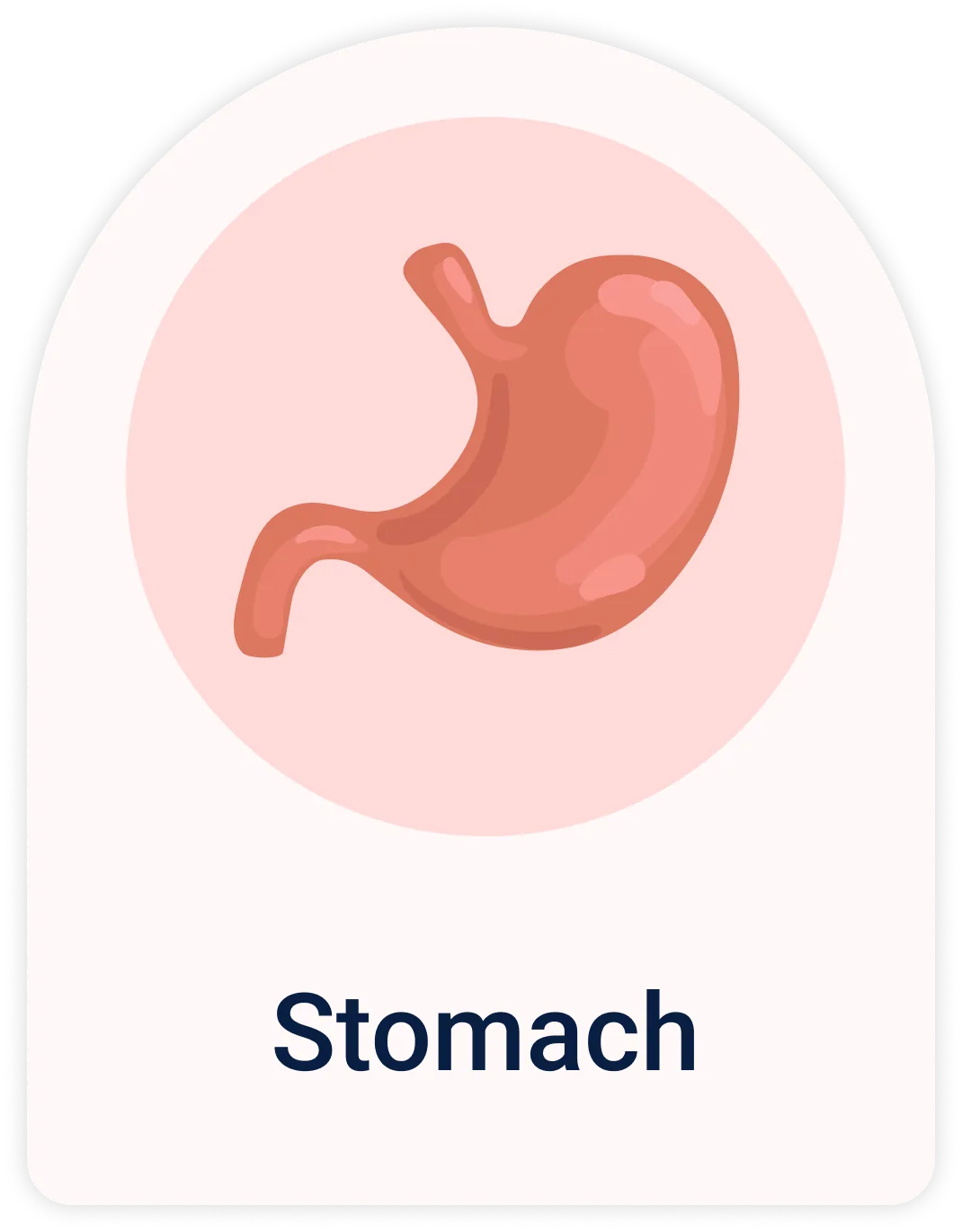 Lab Test | Stomach & intestines