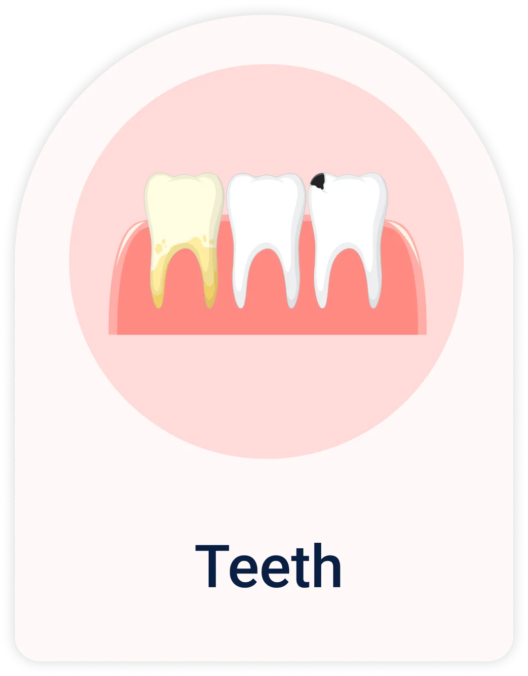 Lab Test | Teeth & Jaws